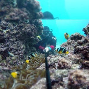 درباره این مقاله بیشتر بخوانید غواصی در آب های شفاف ابوموسی