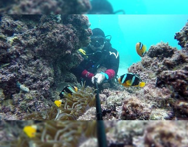 غواصی در آب های شفاف ابوموسی