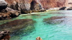 درباره این مقاله بیشتر بخوانید تفریحات آبی ، دریایی هیجان انگیز